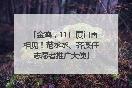 金鸡，11月厦门再相见！范丞丞、齐溪任志愿者推广大使