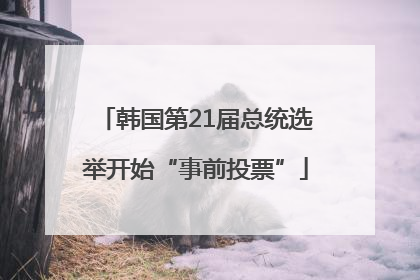 韩国第21届总统选举开始“事前投票”