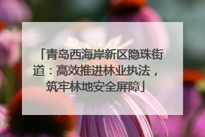 青岛西海岸新区隐珠街道：高效推进林业执法，筑牢林地安全屏障