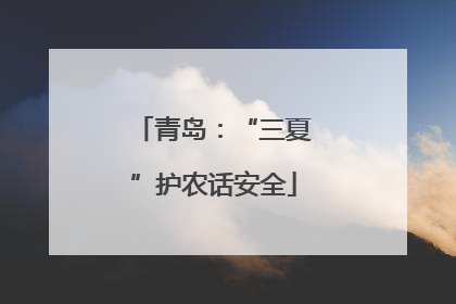 青岛：“三夏”护农话安全