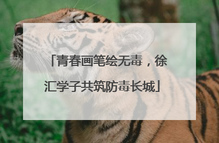 青春画笔绘无毒，徐汇学子共筑防毒长城
