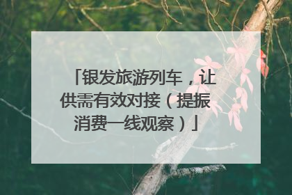 银发旅游列车，让供需有效对接（提振消费一线观察）