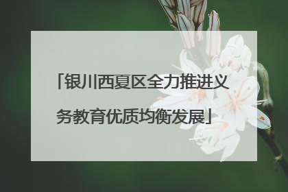银川西夏区全力推进义务教育优质均衡发展