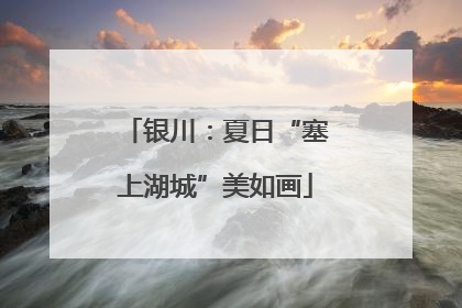 银川：夏日“塞上湖城”美如画