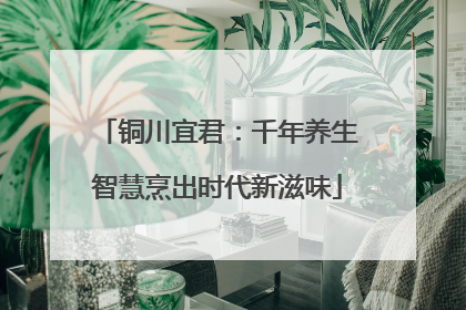 铜川宜君：千年养生智慧烹出时代新滋味