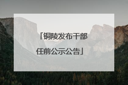 铜陵发布干部任前公示公告