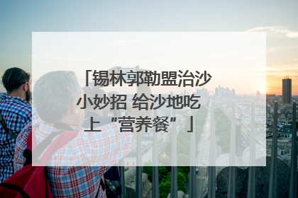 锡林郭勒盟治沙小妙招 给沙地吃上“营养餐”