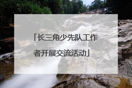 长三角少先队工作者开展交流活动