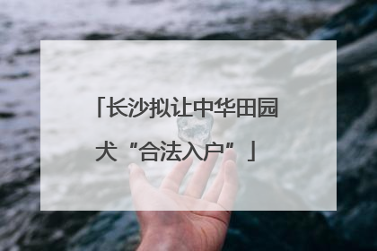 长沙拟让中华田园犬“合法入户”