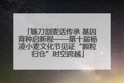 镰刀割麦话传承 基因育种启新程——第十届杨凌小麦文化节见证“颗粒归仓”时空跨越