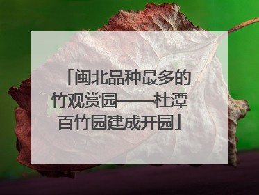 闽北品种最多的竹观赏园——杜潭百竹园建成开园