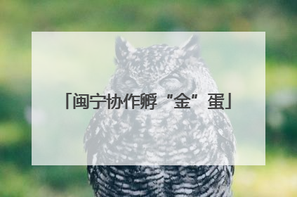 闽宁协作孵“金”蛋