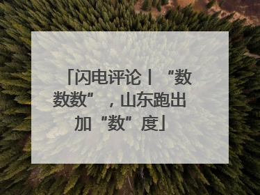 闪电评论丨“数数数”，山东跑出加“数”度