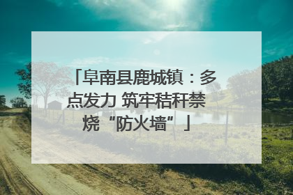 阜南县鹿城镇：多点发力 筑牢秸秆禁烧“防火墙”