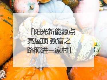 阳光新能源点亮屋顶 致富之路照进三家村