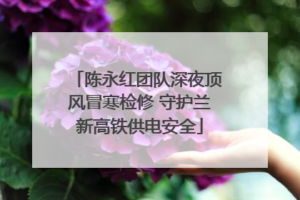 陈永红团队深夜顶风冒寒检修 守护兰新高铁供电安全