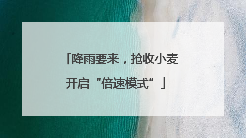 降雨要来，抢收小麦开启“倍速模式”