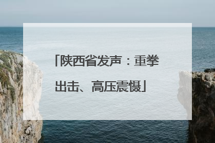 陕西省发声：重拳出击、高压震慑