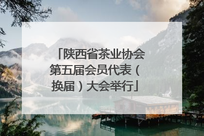 陕西省茶业协会第五届会员代表（换届）大会举行