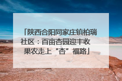 陕西合阳同家庄镇柏瑞社区：百亩杏园迎丰收 果农走上“杏”福路