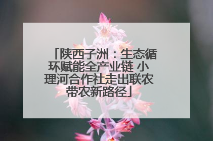 陕西子洲：生态循环赋能全产业链 小理河合作社走出联农带农新路径