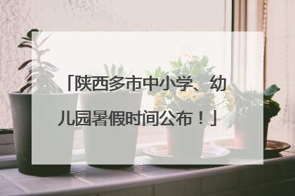 陕西多市中小学、幼儿园暑假时间公布！