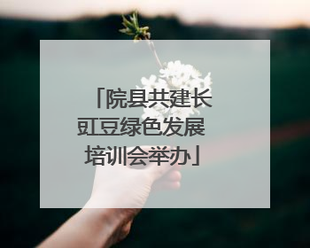 院县共建长豇豆绿色发展培训会举办