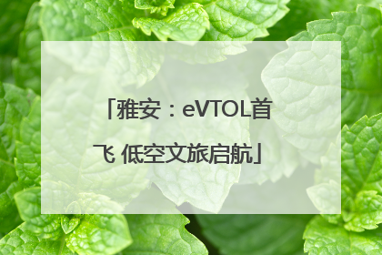 雅安：eVTOL首飞 低空文旅启航