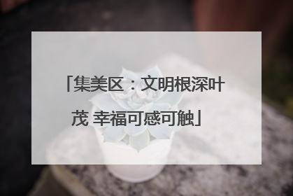 集美区：文明根深叶茂 幸福可感可触