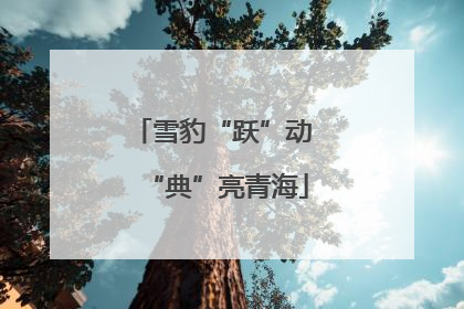 雪豹“跃”动 “典”亮青海