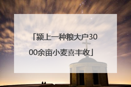 颍上一种粮大户3000余亩小麦喜丰收