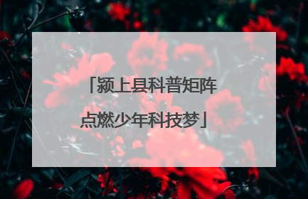 颍上县科普矩阵点燃少年科技梦