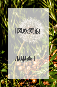 风吹麦浪 瓜果香