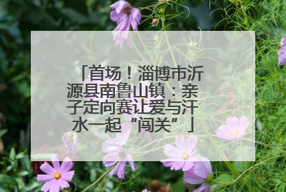 首场！淄博市沂源县南鲁山镇：亲子定向赛让爱与汗水一起“闯关”