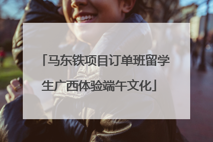 马东铁项目订单班留学生广西体验端午文化