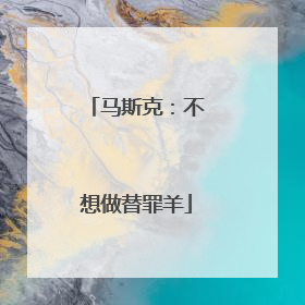马斯克：不想做替罪羊