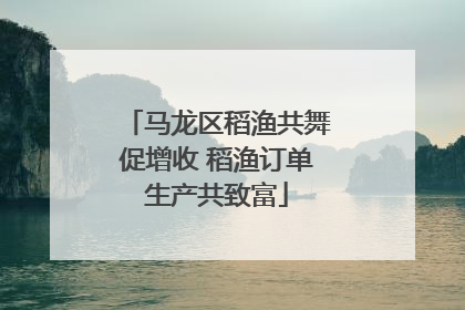 马龙区稻渔共舞促增收 稻渔订单生产共致富