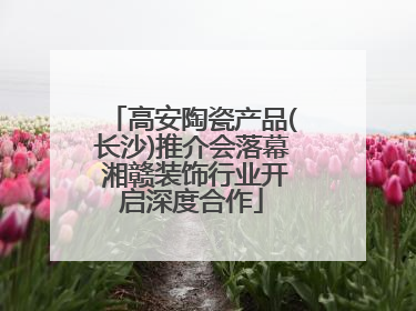 高安陶瓷产品(长沙)推介会落幕 湘赣装饰行业开启深度合作