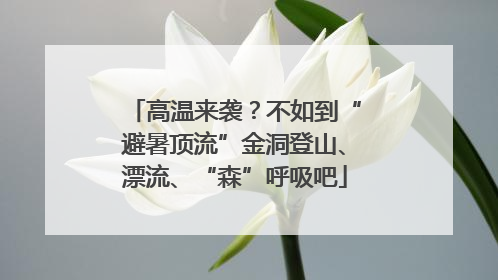 高温来袭？不如到“避暑顶流”金洞登山、漂流、“森”呼吸吧