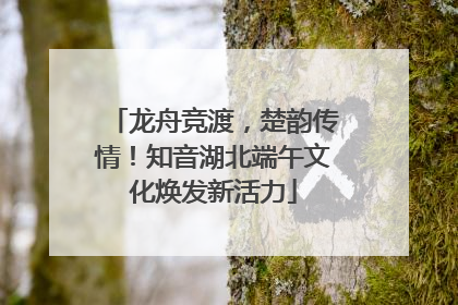龙舟竞渡，楚韵传情！知音湖北端午文化焕发新活力