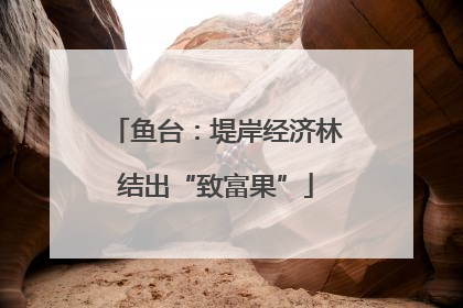 鱼台：堤岸经济林结出“致富果”