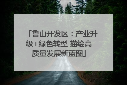 鲁山开发区：产业升级+绿色转型 描绘高质量发展新蓝图