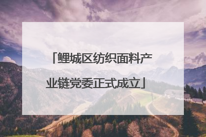 鲤城区纺织面料产业链党委正式成立