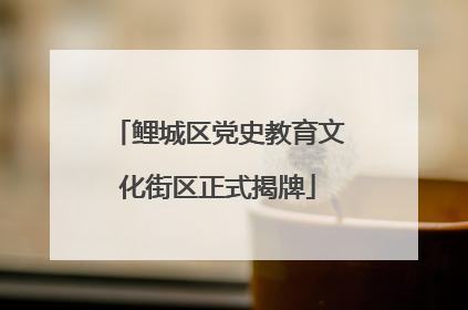 鲤城区党史教育文化街区正式揭牌