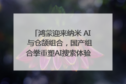 鸿蒙迎来纳米 AI 与仓颉组合，国产组合拳重塑AI搜索体验｜新经济观察