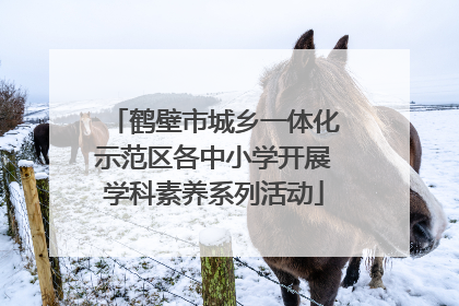 鹤壁市城乡一体化示范区各中小学开展学科素养系列活动