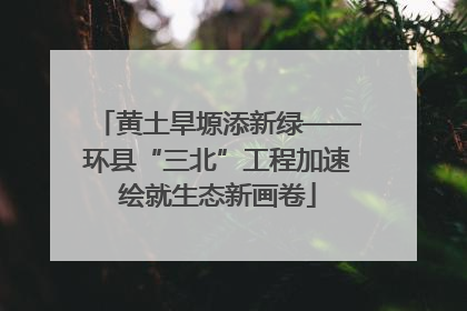 黄土旱塬添新绿——环县“三北”工程加速绘就生态新画卷