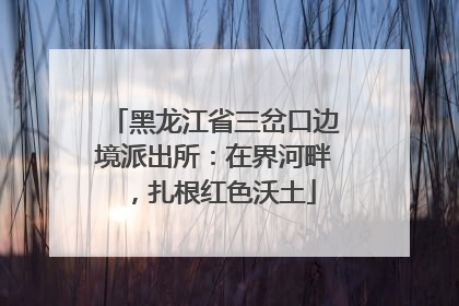 黑龙江省三岔口边境派出所：在界河畔，扎根红色沃土