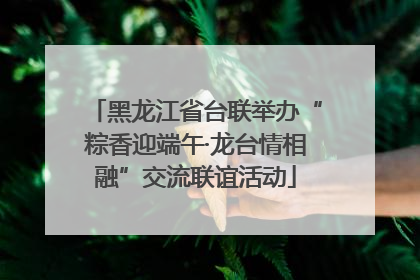黑龙江省台联举办“粽香迎端午·龙台情相融”交流联谊活动