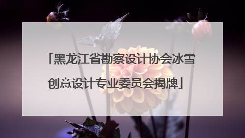 黑龙江省勘察设计协会冰雪创意设计专业委员会揭牌